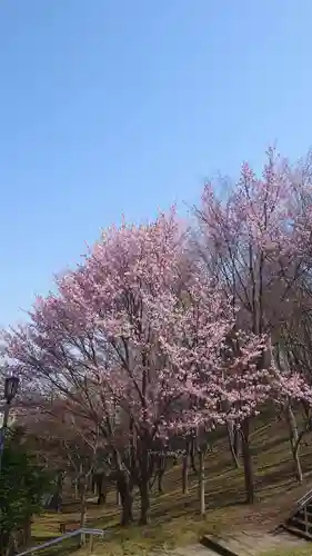 相馬神社の自然