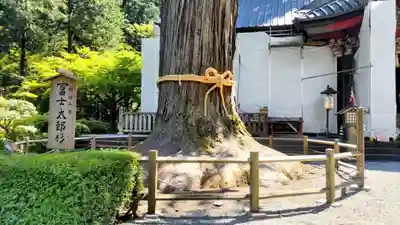 北口本宮冨士浅間神社(山梨県)