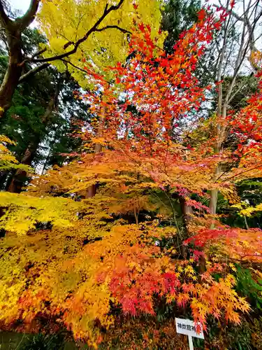 神炊館神社 ⁂奥州須賀川総鎮守⁂の自然