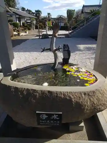 大信寺の手水