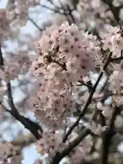 荒井神社(兵庫県)