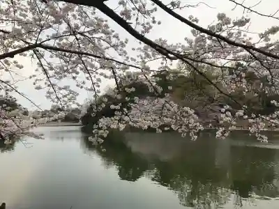 武蔵一宮氷川神社の{uncategorized: "未分類", other: "その他", undefined: "問題あり", building: "その他建物", grave: "お墓", sacred_gate: "鳥居", guardian: "狛犬", statue: "像", buddha: "仏像", history: "歴史", nature: "自然", garden: "庭園", animal: "動物", pagoda: "塔", temizu: "手水舎", mountain_gate: "山門・神門", sanctuary: "本殿・本堂", subordinate: "末社・摂社", art: "芸術", scenery: "景色", jizo: "地蔵", ema: "絵馬", goshuin: "御朱印", omikuji: "おみくじ", items: "授与品その他", amulet: "お守り", goshuincho: "御朱印帳", eats: "食事", festival: "お祭り", votive_dance: "神楽", shichigosan: "七五三参", wedding: "結婚式", experience: "体験その他", initially: "初詣", around: "周辺", anti_infection: "感染症対策"}