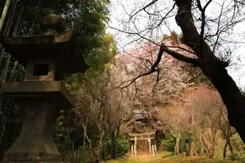 見渡神社の鳥居