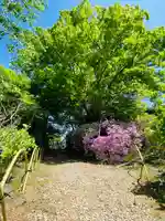 山神社(宮城県)