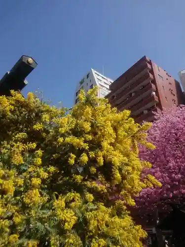 蔵前神社の自然