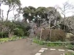 宝戒寺(神奈川県)