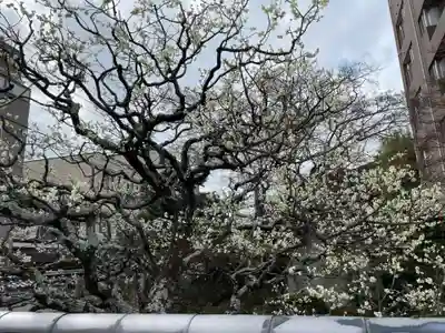 三国稲荷大明神(京都府)