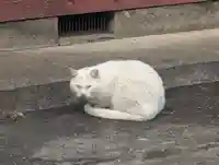 神明社(神奈川県)