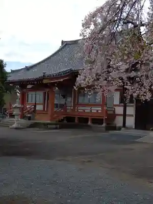 高藏寺(埼玉県)