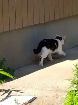 五郎兵衛稲荷神社(茨城県)