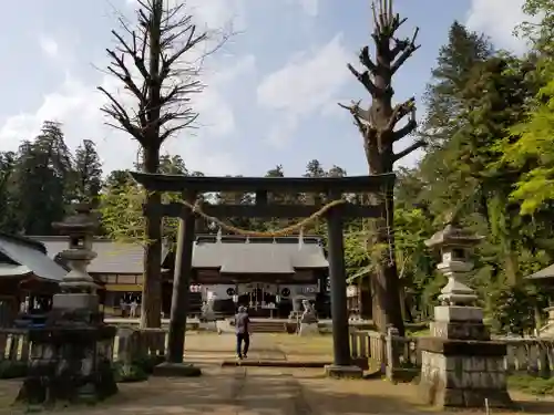 大神神社の鳥居