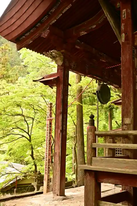 橋立堂(埼玉県)