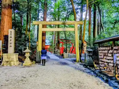 椿大神社の鳥居