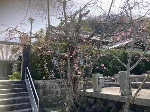 伝福寺(神奈川県)