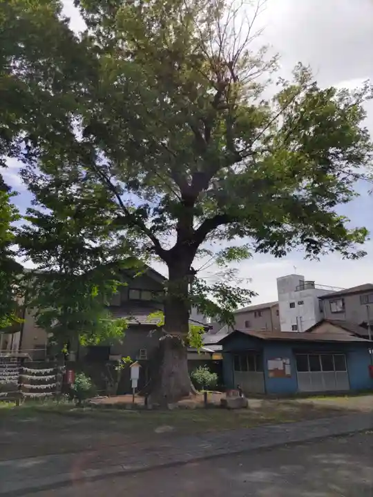 上戸田氷川神社のその他建物