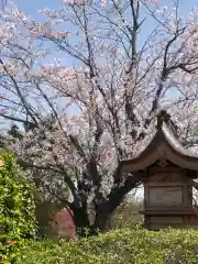 大生郷天満宮の自然