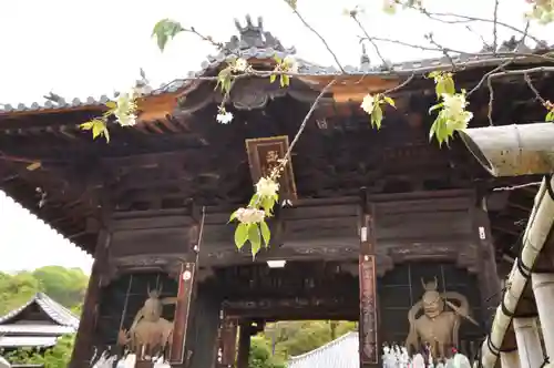 浄土寺の山門・神門
