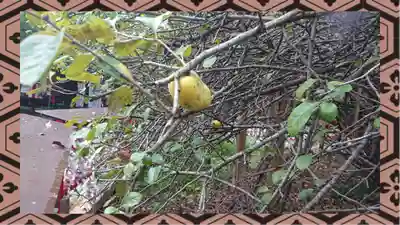 冠稲荷神社(群馬県)
