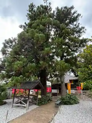 宝林寺(静岡県)