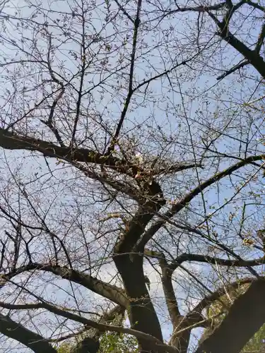牛天神北野神社の自然