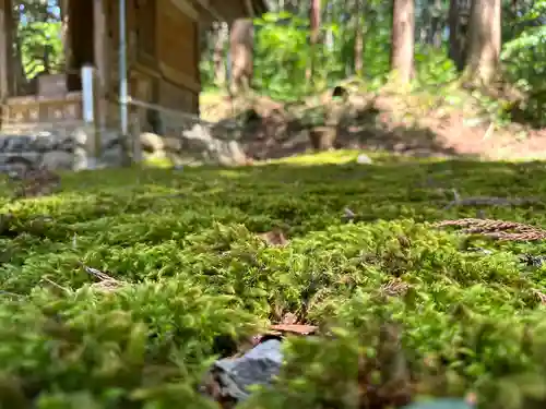 平泉寺白山神社(福井県)