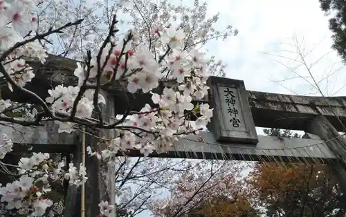 大己貴神社の鳥居