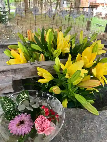 彌彦神社　(伊夜日子神社)の手水舎