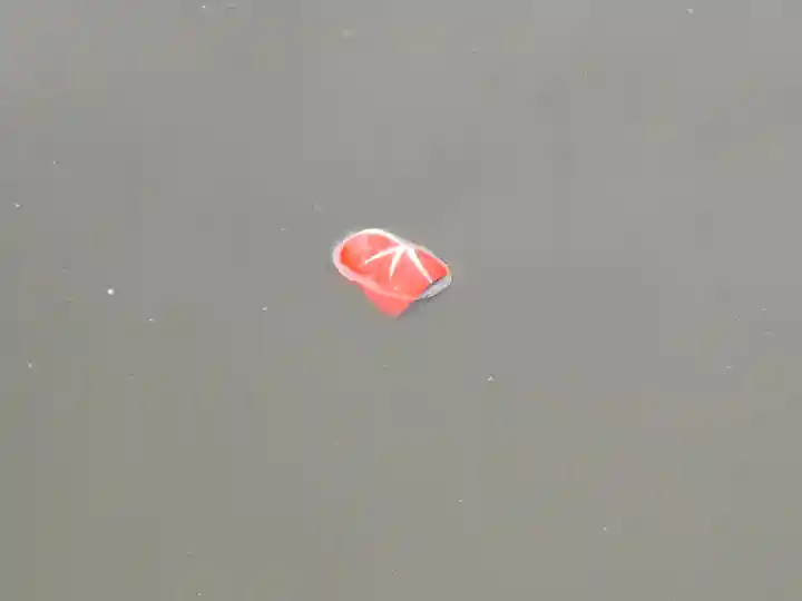 勝尾寺(大阪府)