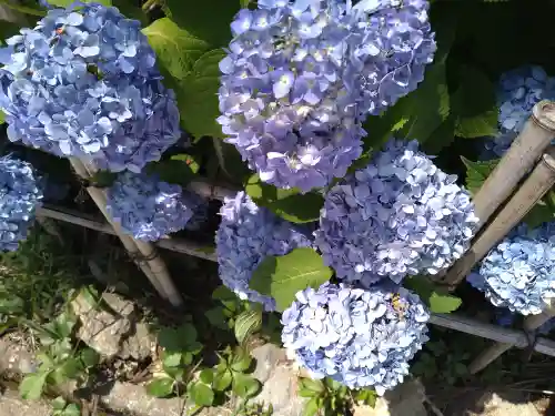 千光寺(福岡県)