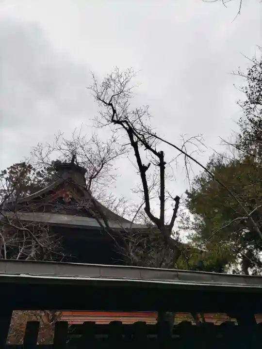 甲斐國一宮 浅間神社(山梨県)