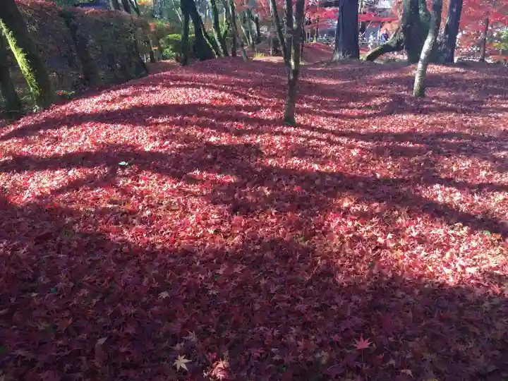 禅林寺(永観堂)の周辺