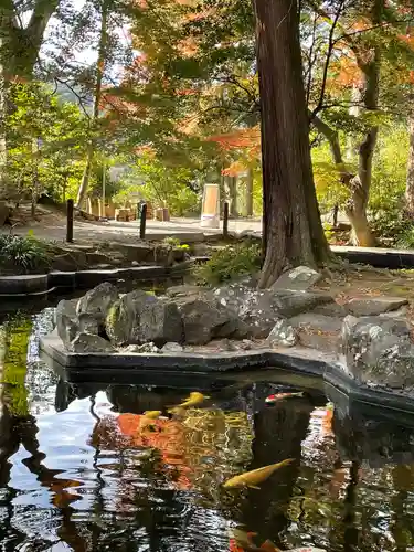 伊豆山神社(静岡県)