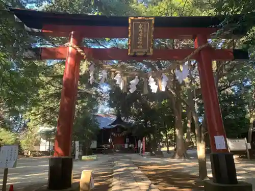 氷川女體神社の鳥居