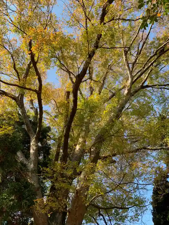御嶽神社(千葉県)