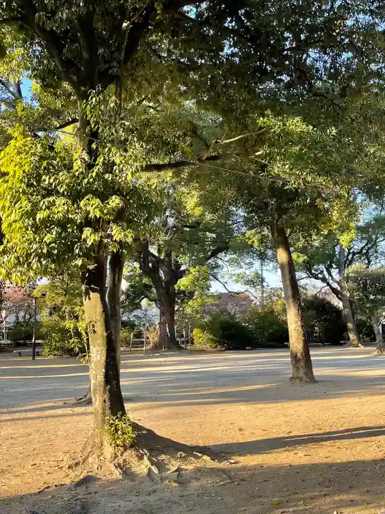 兵主神社の自然