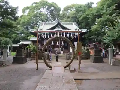 代々木八幡宮の本殿・本堂