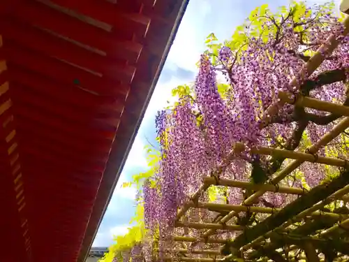 春日大社の庭園