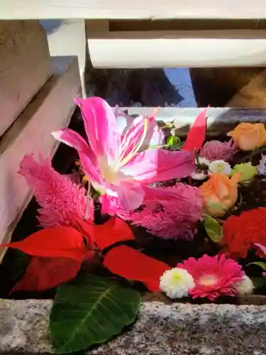 鳩森八幡神社の手水舎