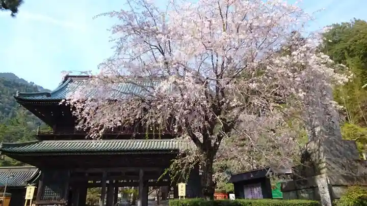 久遠寺(山梨県)
