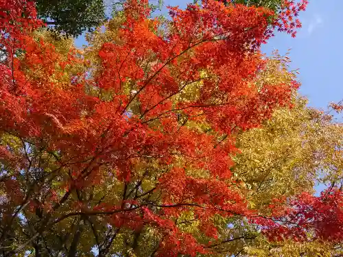 長岡天満宮の自然