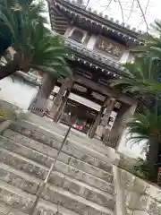 大楽寺の山門