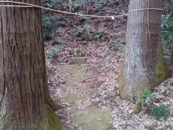 熊野神社の自然