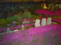 寿量山 速成寺(奈良県)