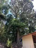 琴平神社(千葉県)
