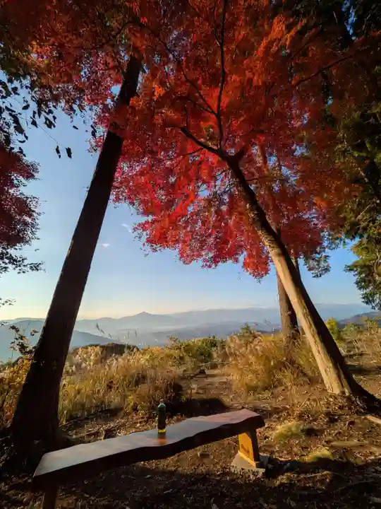 宝登山神社(埼玉県)