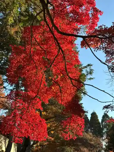 東福禅寺（東福寺）(京都府)