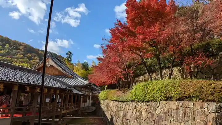 光明寺(粟生光明寺)(京都府)
