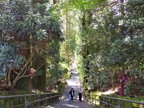 箱根神社の景色