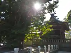 葛飾八幡宮の本殿