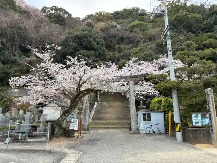 忌部神社(徳島県)